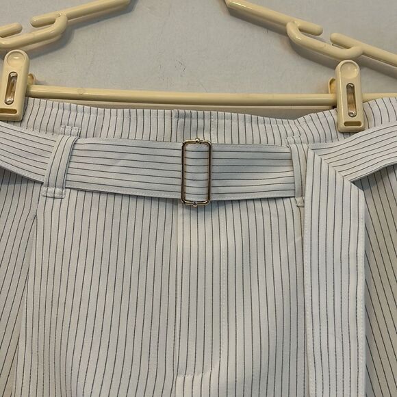 Bishop + Young white with black vertical stripe shorts Size S NWOT - Picture 4 of 7
